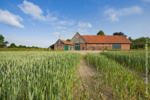 photo: Farms in the Muensterland region. Copyright photo Oliver Franke/Tourismus NRW e.V.