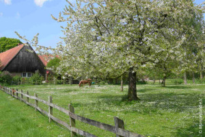 photo: Stevertal valley near Nottuln, Copyright Münsterland e.V.